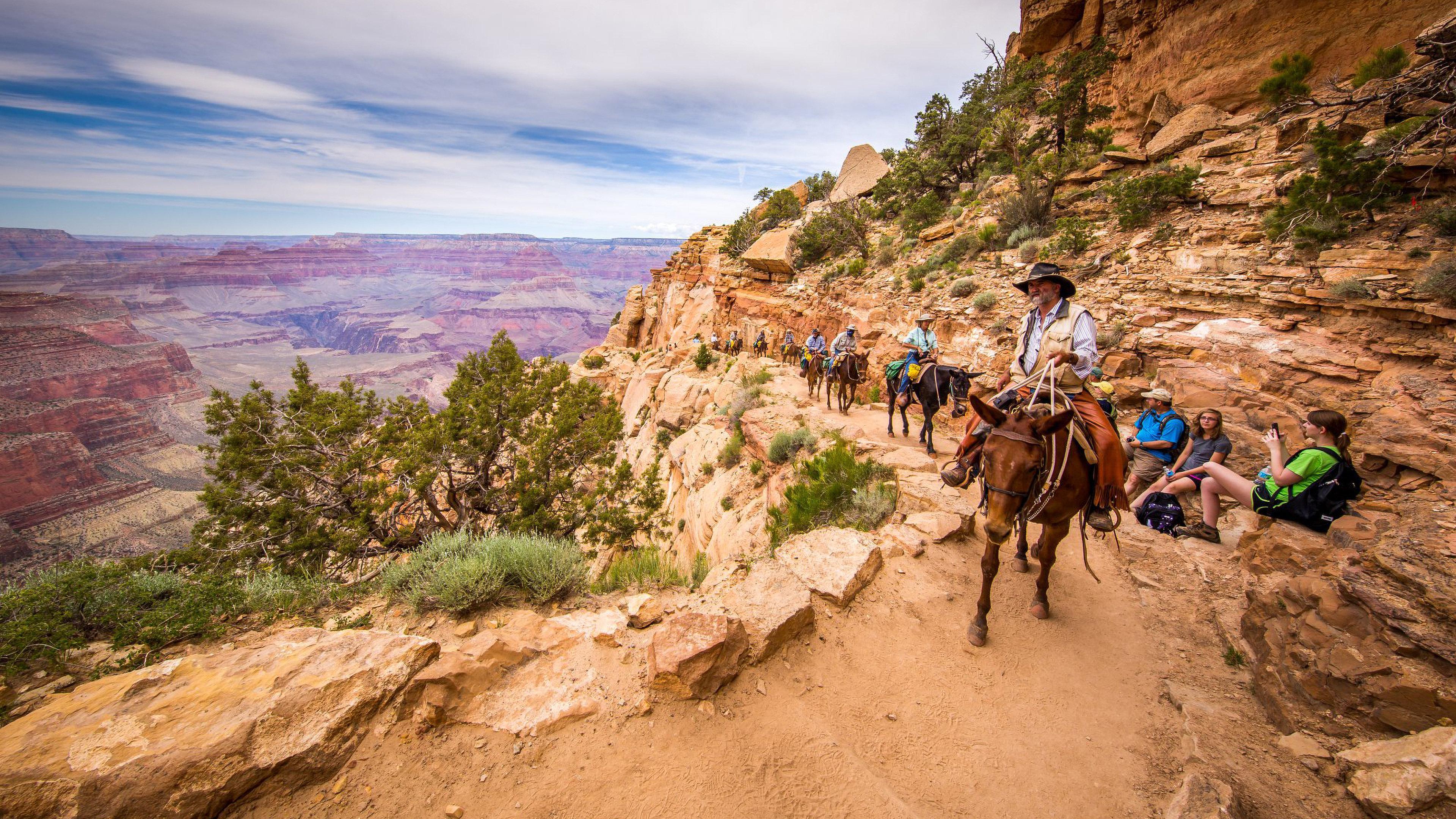 Holiday Inn Express & Suites Grand Canyon, An Ihg Hotel Tusayan Exterior foto